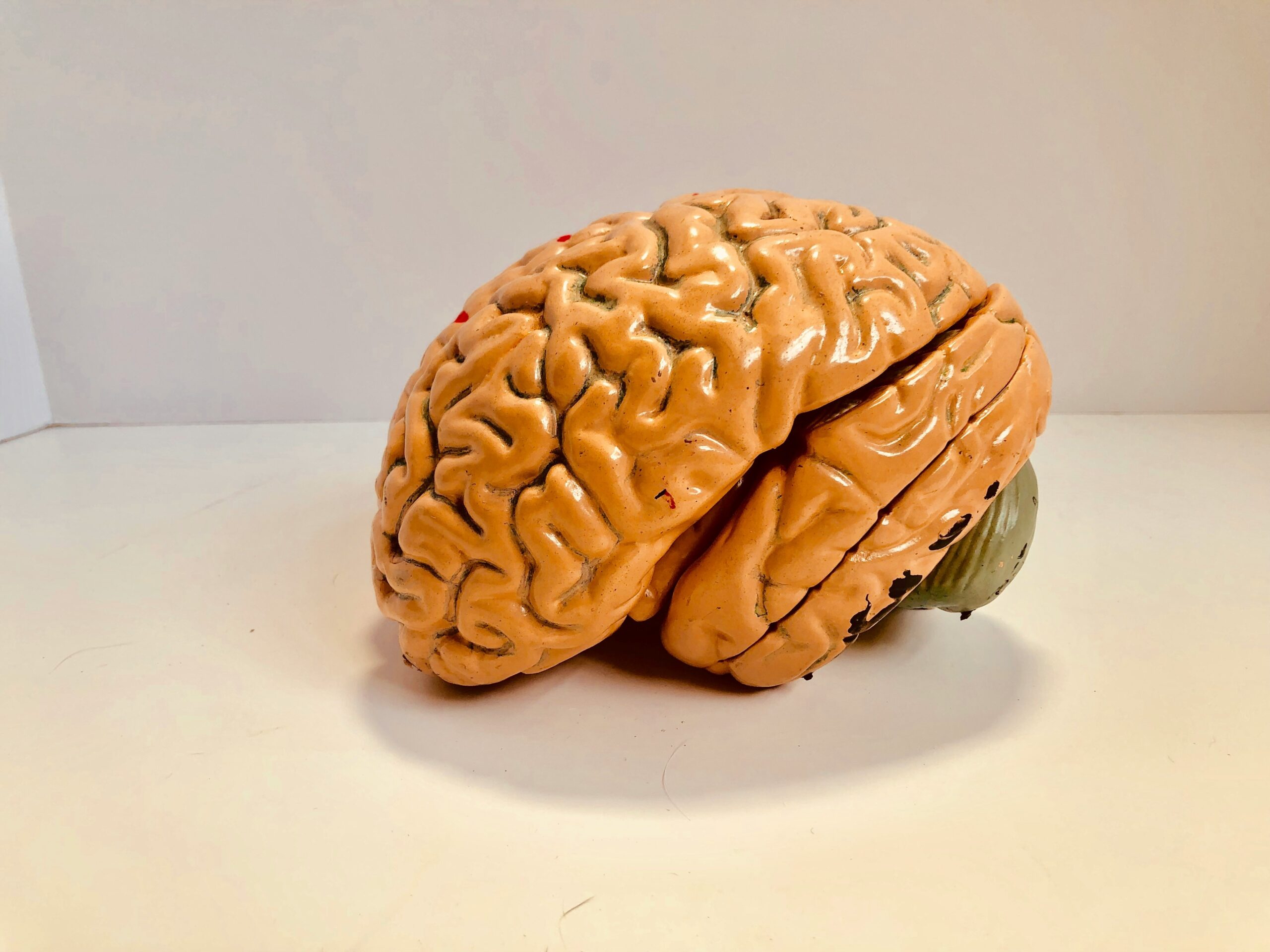 A brain focusing on subtitle text