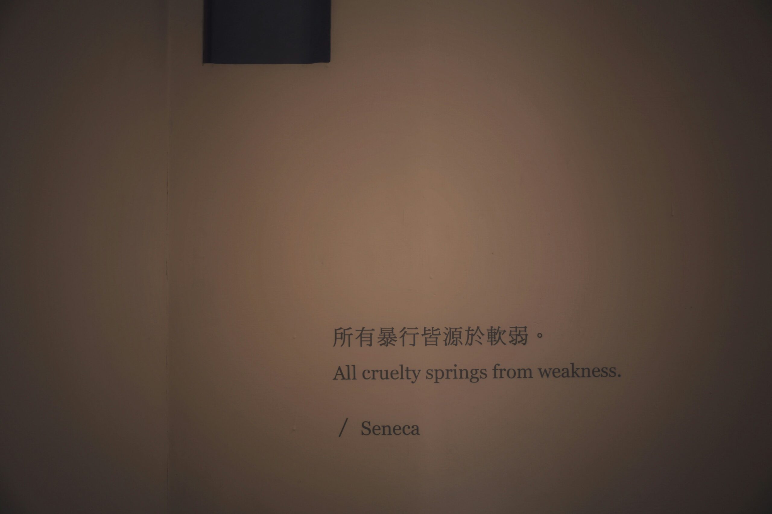 Screenshot of Descript's user-friendly interface highlighting ease of editing captions