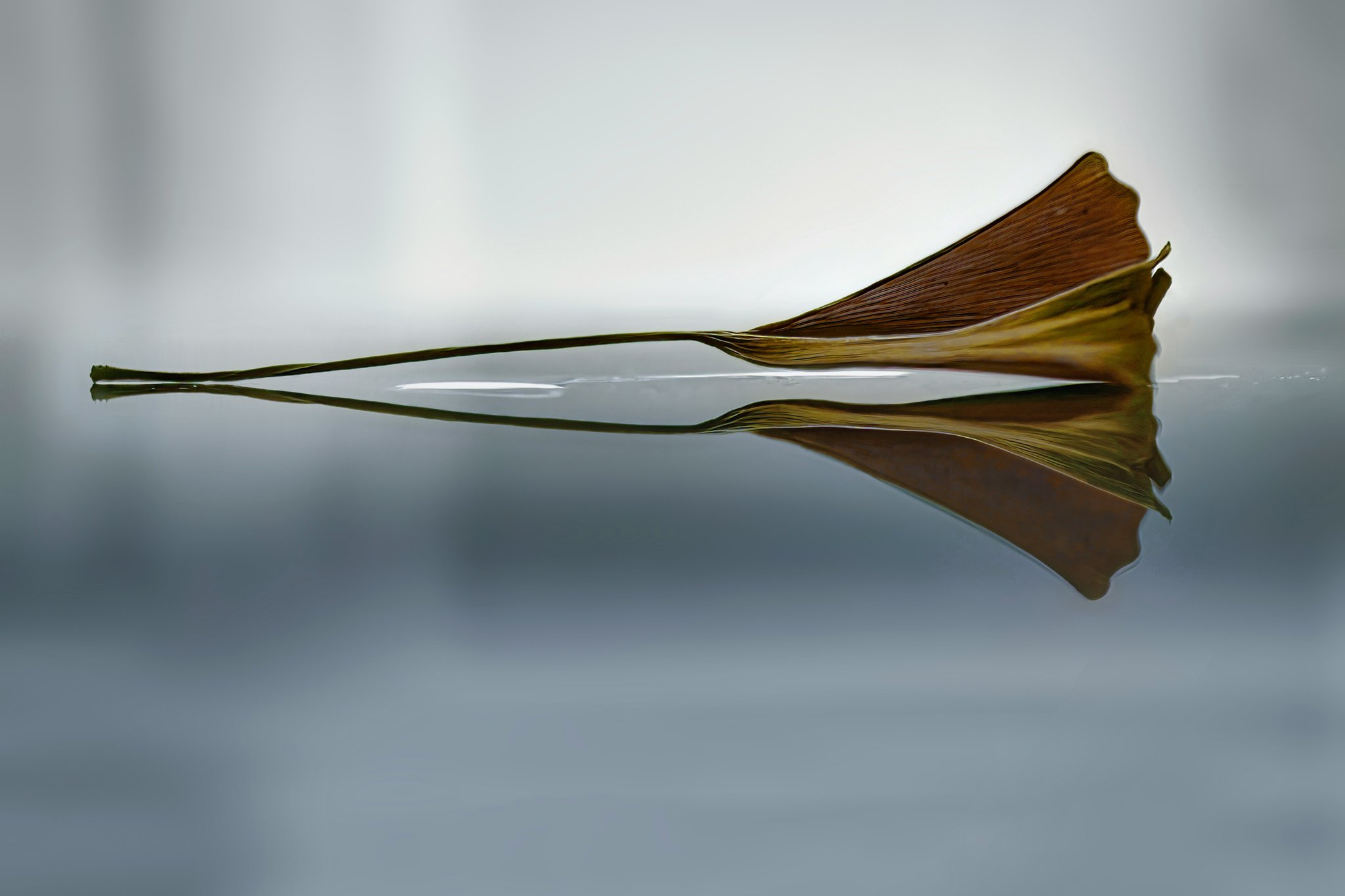 A graph showing increased viewer retention with subtitles