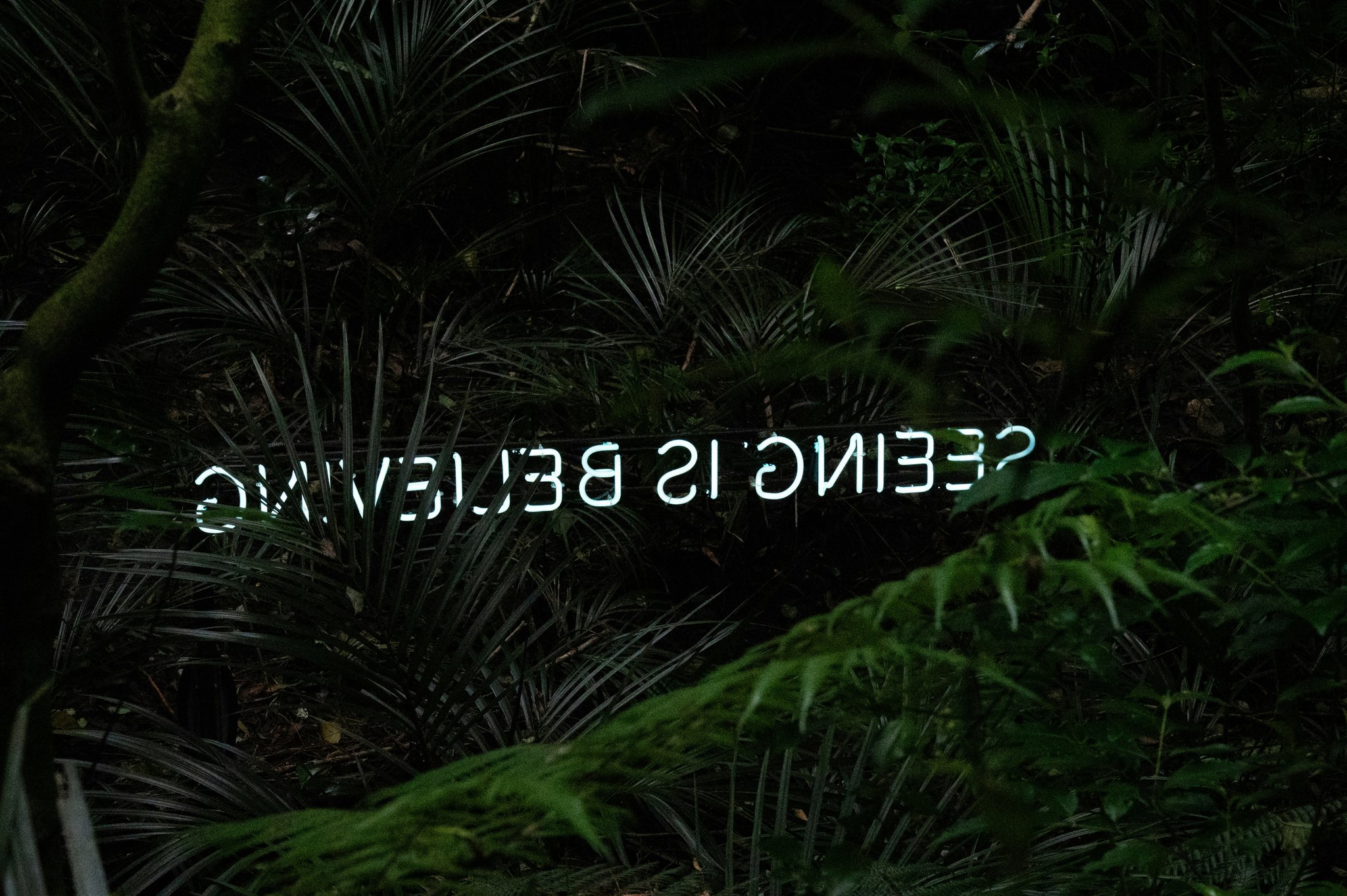 Master Manual Subtitle Sync: Boost Your Productivity & Well-being with These Apps