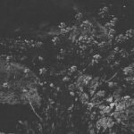 The Ultimate Guide to subtitle synchronization app android: Boost Your Productivity & Well-Being