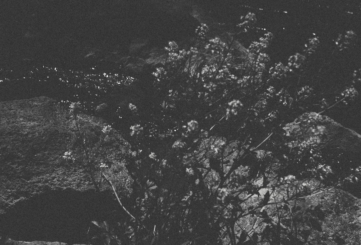 The Ultimate Guide to subtitle synchronization app android: Boost Your Productivity & Well-Being