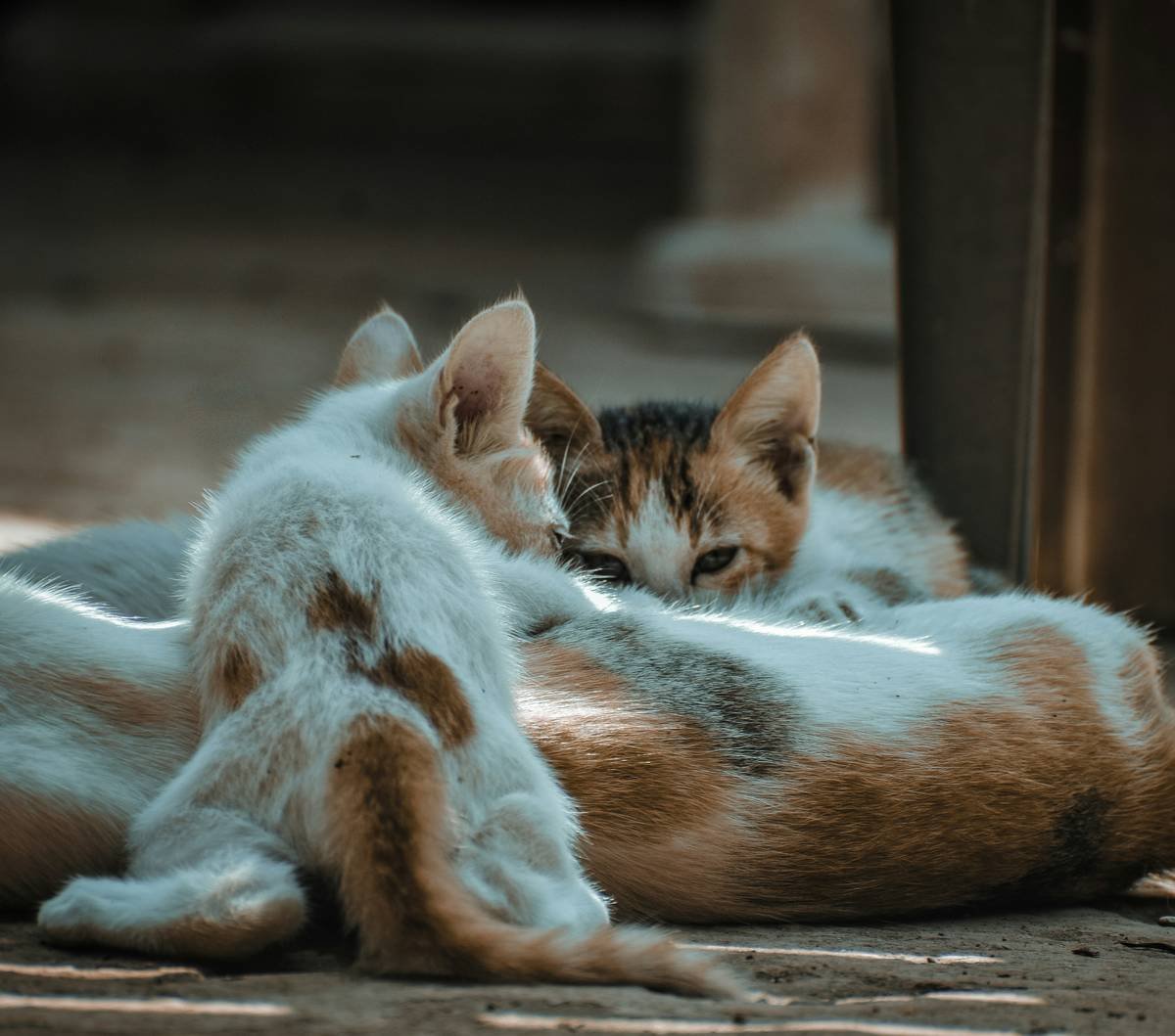 Shot on Nikon d5300 đŽđł